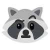 raccoons emoji 🤨