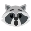 raccoons emoji 😮