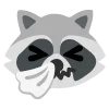 raccoons emoji 🤧