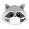 raccoons emoji 😷