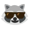 raccoons emoji 😎