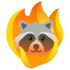 raccoons emoji 🔥