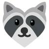 raccoons emoji 🩷