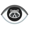 raccoons emoji 👁