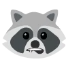 raccoons emoji 🫦