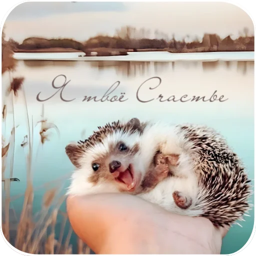 Cute Animals stiker 🐇