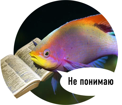 Стикеры телеграм Рыбы пытаются читать