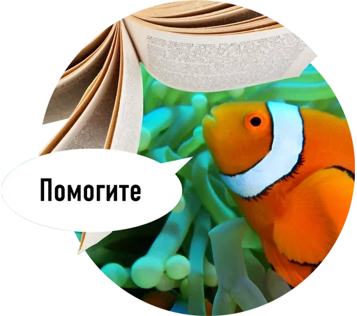 Рыбы пытаются читать emoji ?