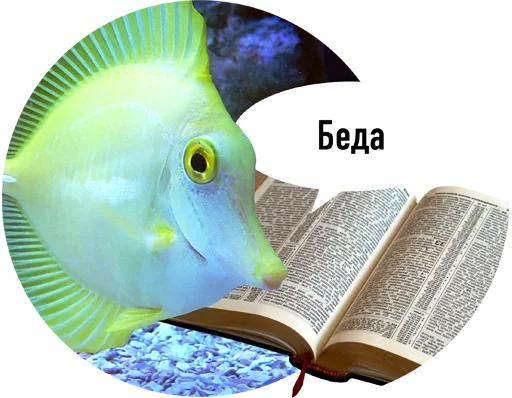 Рыбы пытаются читать emoji ?