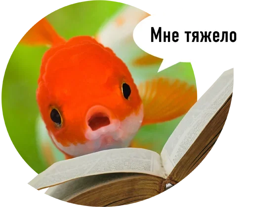 Эмодзи Рыбы пытаются читать ?