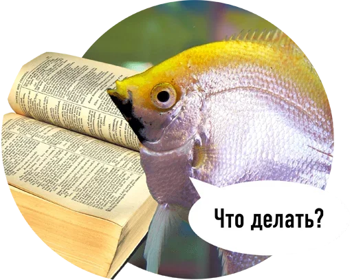 Эмодзи Рыбы пытаются читать ?