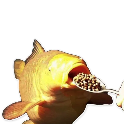 Рыбы emoji 😫