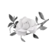 Telegram emoji «Rose doll» 🗝️