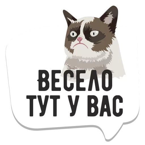 Telegram stiker «Мемы» 🐱