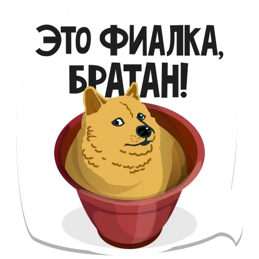 Telegram stiker «Мемы» 🐶