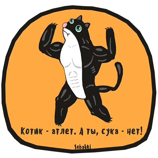 Telegram stiker «Soba4ki» 🐱