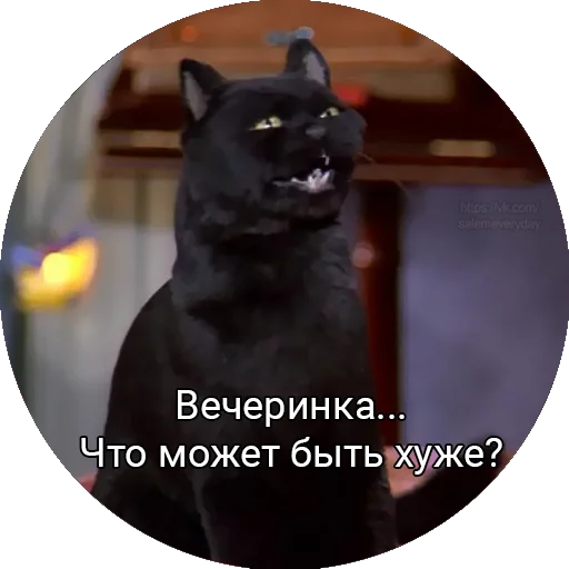 Telegram Sticker «Кот Салем» 😐