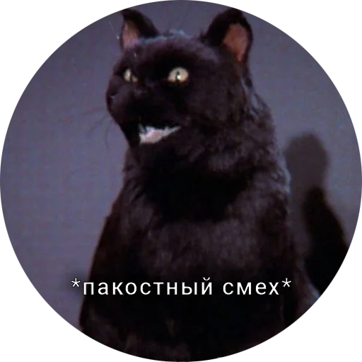 Telegram stiker «Кот Салем» 🥴