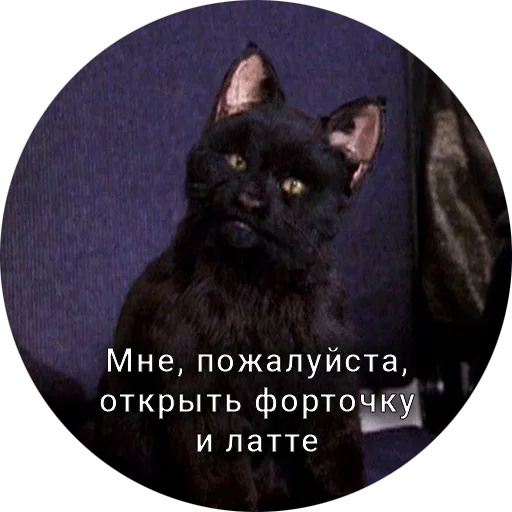 Telegram stiker «Кот Салем» 🧐