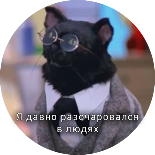 Telegram Sticker «Кот Салем» 🫥