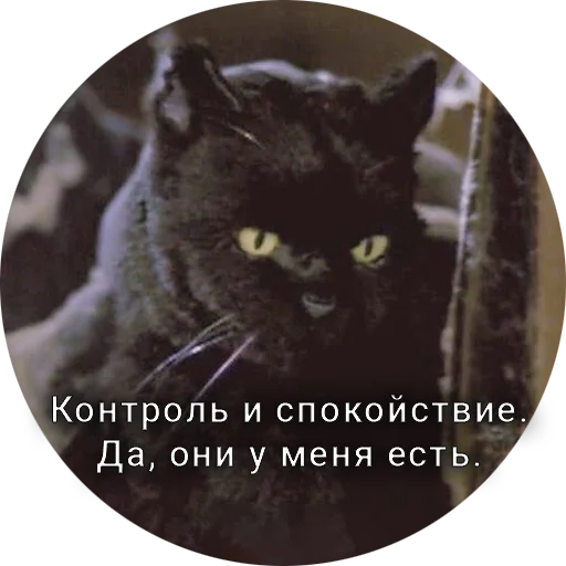 Telegram Sticker «Кот Салем» 😑