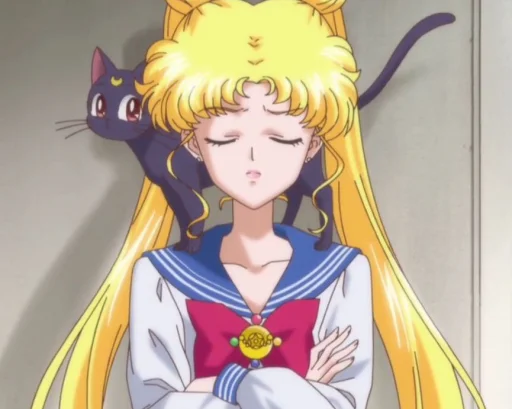 Sailor Moon Crystal sticker 💃