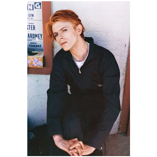 David Bowie | Дэвид Боуи sticker 😑