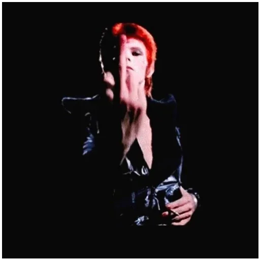 Стікер David Bowie 2 | Дэвид Боуи 🖕