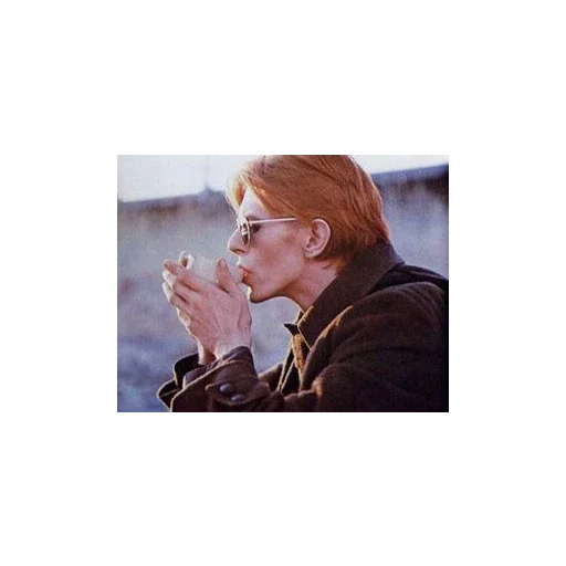 Telegram Sticker «David Bowie 2 | Дэвид Боуи» ☕