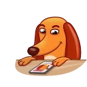 Salchicha Dog emoji ❤️