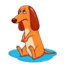 Salchicha Dog emoji 😭
