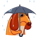 Salchicha Dog emoji ☔️