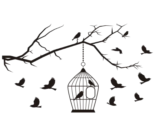 Separator Bird Animal  stiker 🐧