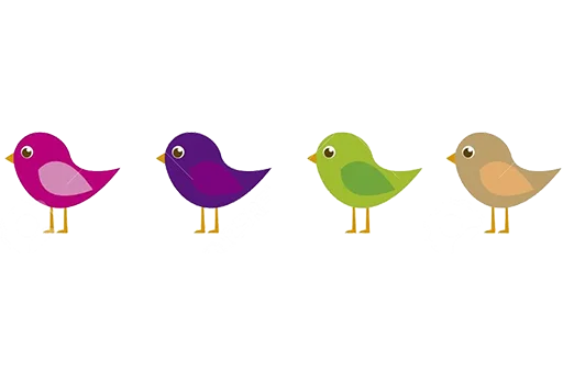 Separator Bird Animal  stiker 🐦