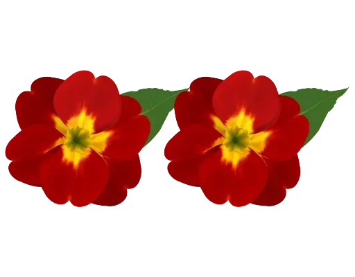 Separator Flower Thick emoji 🌺