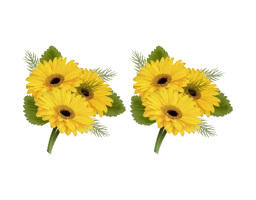 Separator Flower Thick emoji 🌼