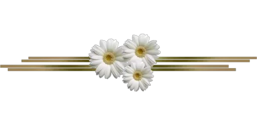 Separator Flower Thin stiker 🌸