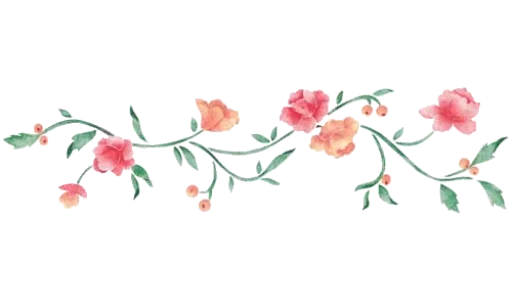 Separator Flower Thin stiker 💐
