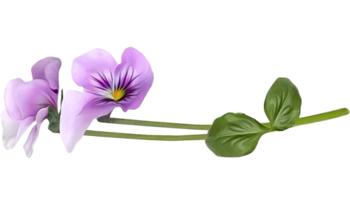 Стикер Separator Flower Thin  🌸