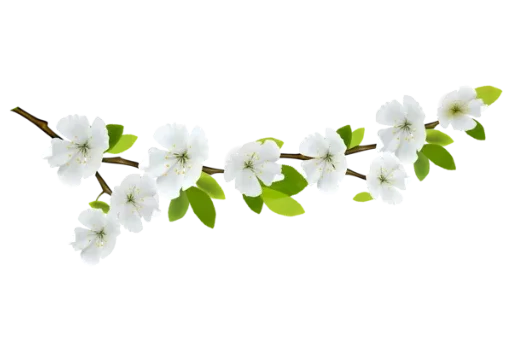 Эмодзи Separator Flower Thin 🌸