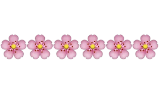 Separator Flower Thin stiker 🌸