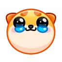 Shiba Inu Emoji emoji 🥹