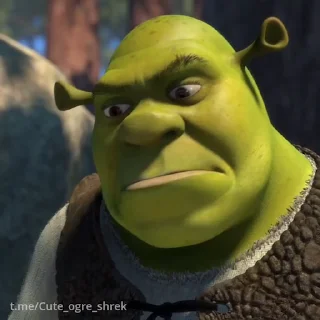 Стикер Шрек / Shrek  🤨