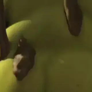 Эмодзи Шрек / Shrek 🚿