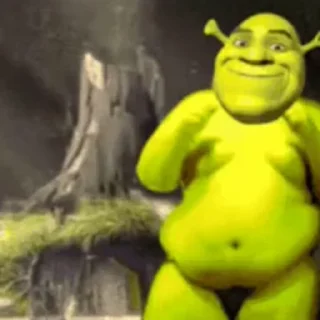 Shrek sticker 😐