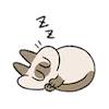 Емодзі Siamese Cat Lil Bean Puree Emoji 😪