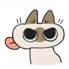 Емодзі Siamese Cat Live 😝