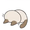 Siamese Cat Live  emoji 😖