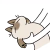 Siamese Cat Live  emoji ☺️