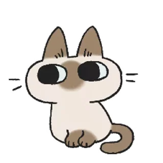 Стікер Siamese Cat Live 🙄